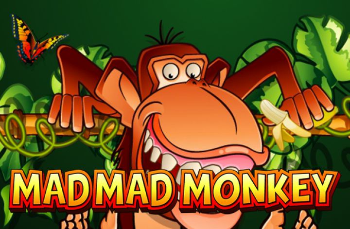 Mad Mad Monkey slot machine screenshot