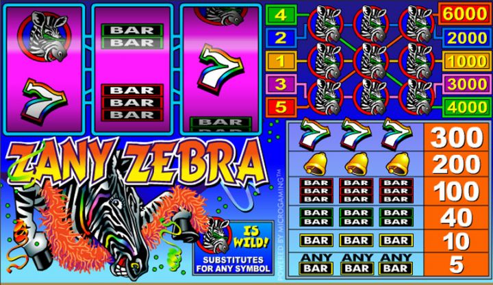 Zany Zebra video slot machine screenshot